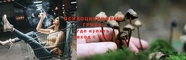 эйфоретик Алексин