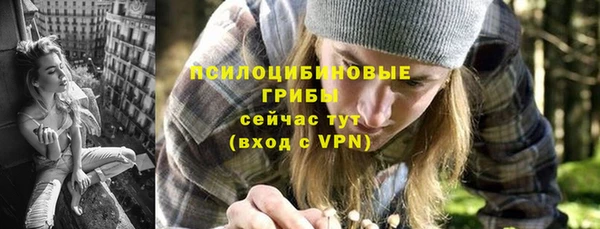 стаф Абаза