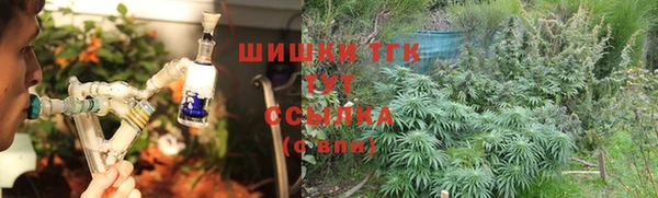 стаф Абаза